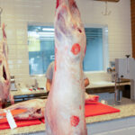 Australian Lamb - Fresh